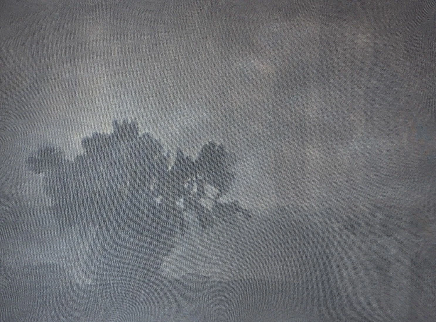 松浦陽の作品